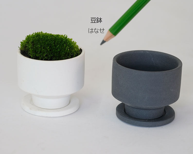 植木鉢 おしゃれ 陶器鉢 はなせminimini 受皿付セラミック釉薬鉢 径5cm 高4cm 底穴あり