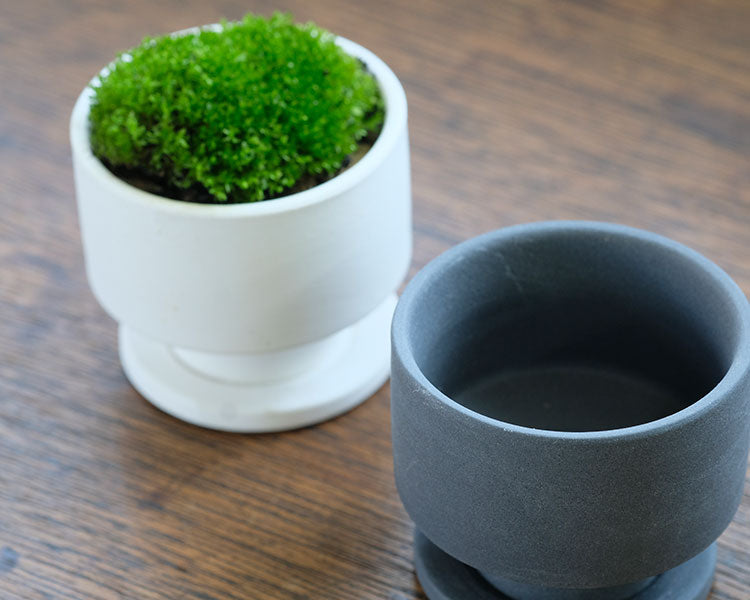 植木鉢 おしゃれ 陶器鉢 はなせminimini 受皿付セラミック釉薬鉢 径5cm 高4cm 底穴あり