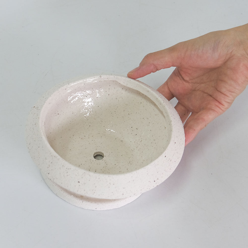 植木鉢 おしゃれ 陶器 イオニアサークルS 受皿付 セラミック鉢 径16cm 高7cm ホワイト 底穴あり