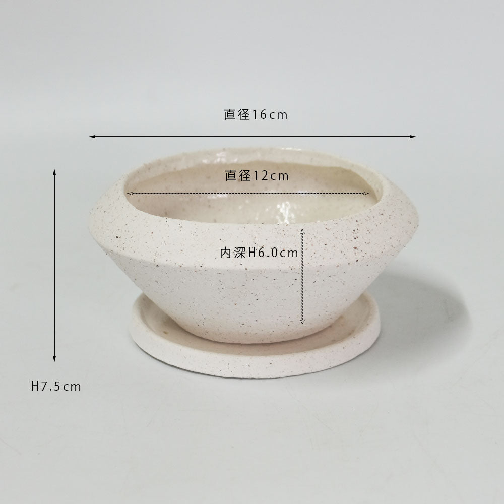 植木鉢 おしゃれ 陶器 イオニアサークルS 受皿付 セラミック鉢 径16cm 高7cm ホワイト 底穴あり