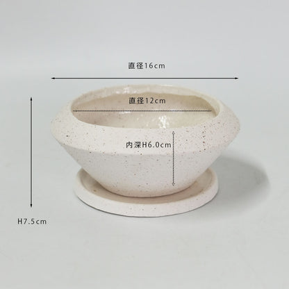 植木鉢 おしゃれ 陶器 イオニアサークルS 受皿付 セラミック鉢 径16cm 高7cm ホワイト 底穴あり