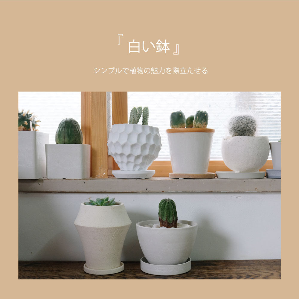 植木鉢 陶器 おしゃれ イオニアドラムハイ10 受皿付 シンプル セラミック 陶器鉢 ホワイト グレイ 鉢径10cm  高11.5cm 底穴あり