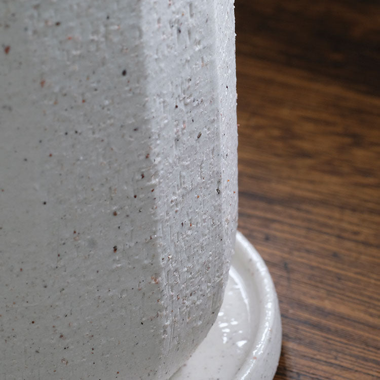 植木鉢 おしゃれ 陶器鉢  イオニアスクリープ10 受皿付 径10.5cm 高11cm  Mサイズ ホワイト グレー 底穴あり