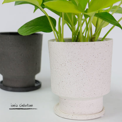 植木鉢 おしゃれ 陶器鉢  イオニアシンボトムM  受皿付 かわいい 鉢径12cm 高13cm ホワイト グレー 底穴あり
