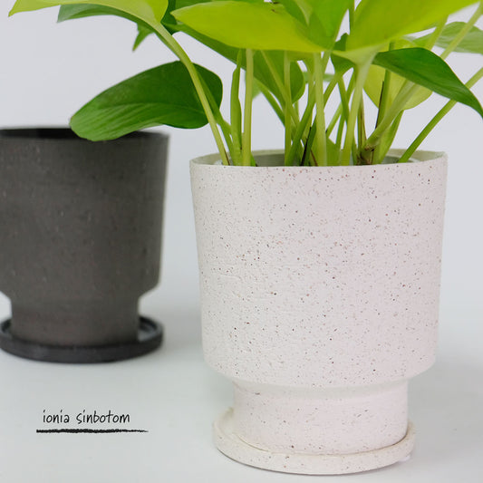 植木鉢 おしゃれ 陶器鉢  イオニアシンボトムM  受皿付 かわいい 鉢径12cm 高13cm ホワイト グレー 底穴あり