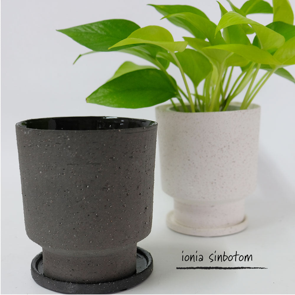 植木鉢 おしゃれ 陶器鉢  イオニアシンボトムM  受皿付 かわいい 鉢径12cm 高13cm ホワイト グレー 底穴あり