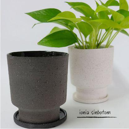 植木鉢 おしゃれ 陶器鉢  イオニアシンボトムM  受皿付 かわいい 鉢径12cm 高13cm ホワイト グレー 底穴あり