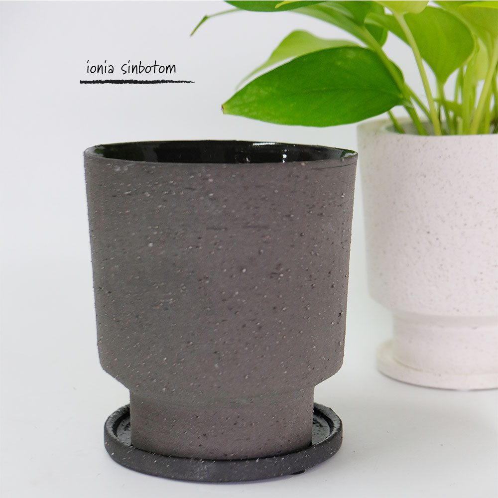 植木鉢 おしゃれ 陶器鉢  イオニアシンボトムM  受皿付 かわいい 鉢径12cm 高13cm ホワイト グレー 底穴あり
