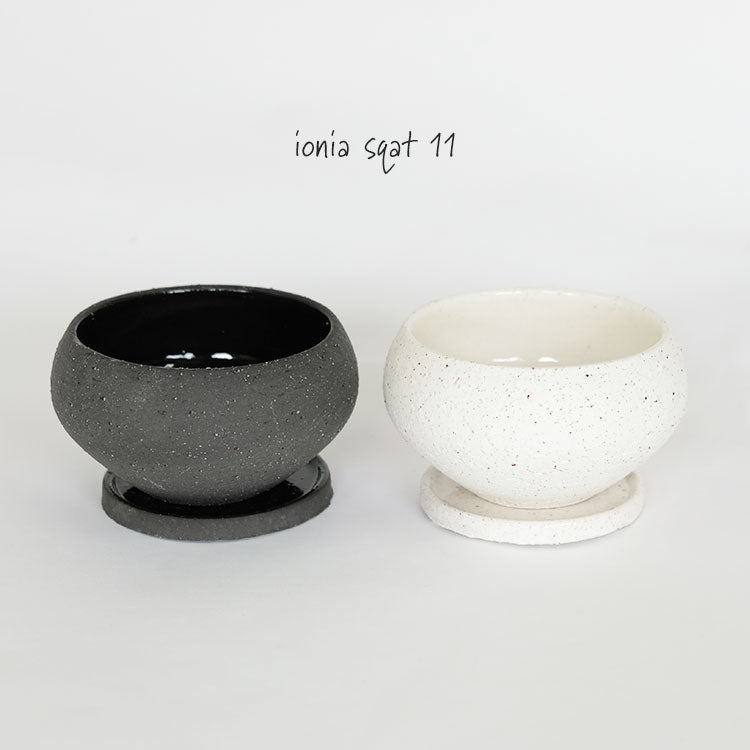 おしゃれ 陶器鉢 イオニアスクワットM 受皿付 ポット セラミック 釉薬 径11.5cm 高6.5cm 底穴あり