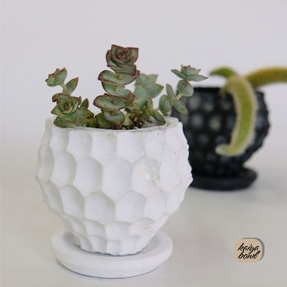 植木鉢 かわいい カイヤボールS 受皿付 セメント鉢