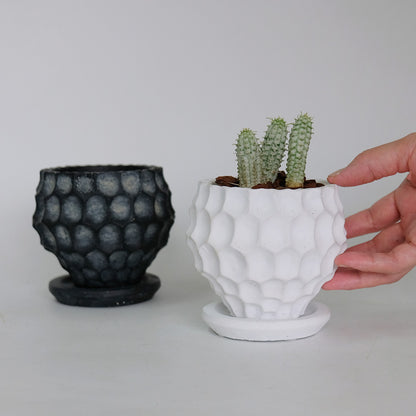 植木鉢 かわいい カイヤボールS 受皿付 セメント鉢