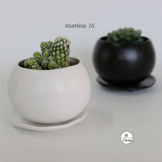 植木鉢 おしゃれ マリナ受皿付 ss-M 陶器  和風  セラミック 釉薬 径8cm 高6cm 底穴あり コノフィツム ミニサボテン