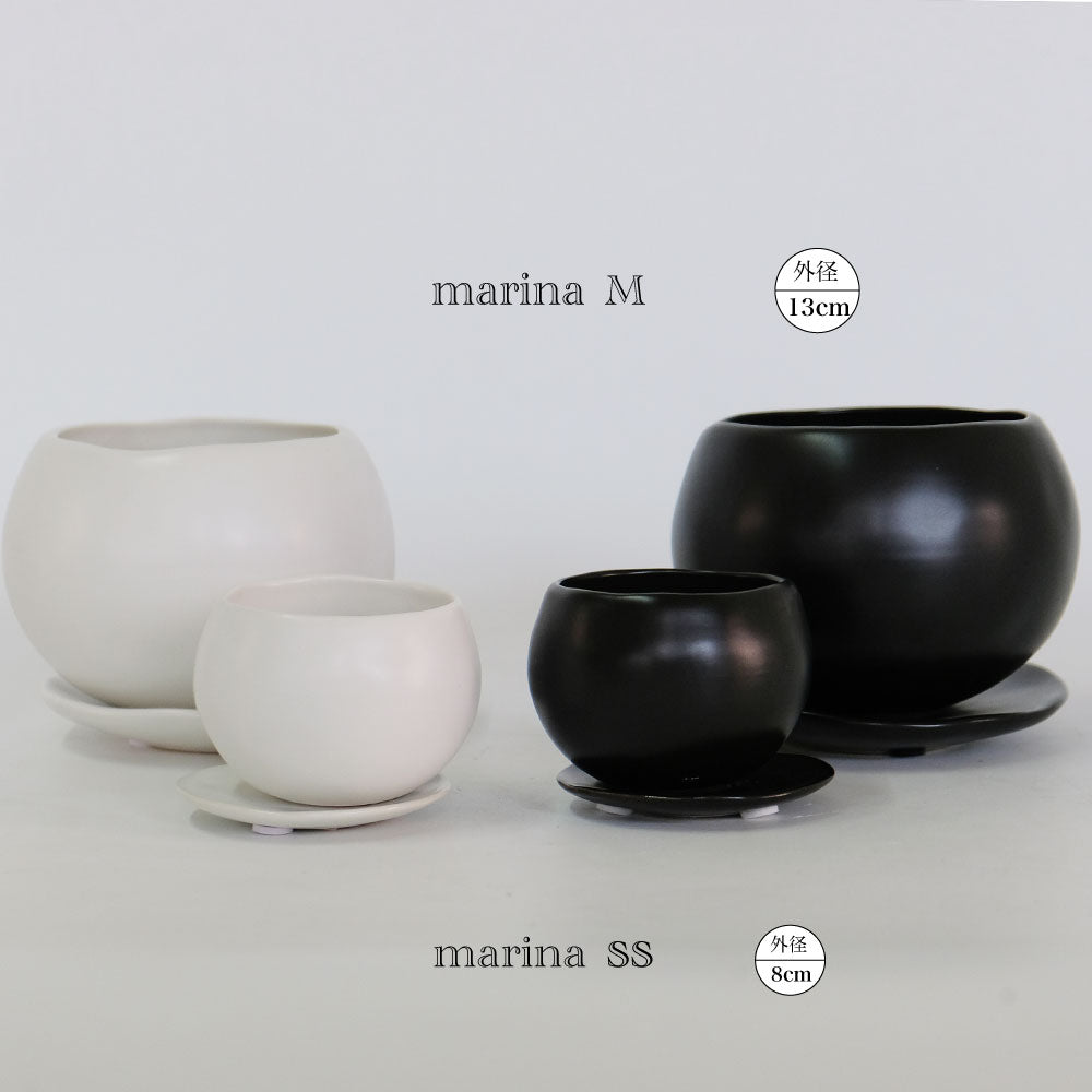 植木鉢 おしゃれ マリナ受皿付 ss-M 陶器  和風  セラミック 釉薬 径8cm 高6cm 底穴あり コノフィツム ミニサボテン