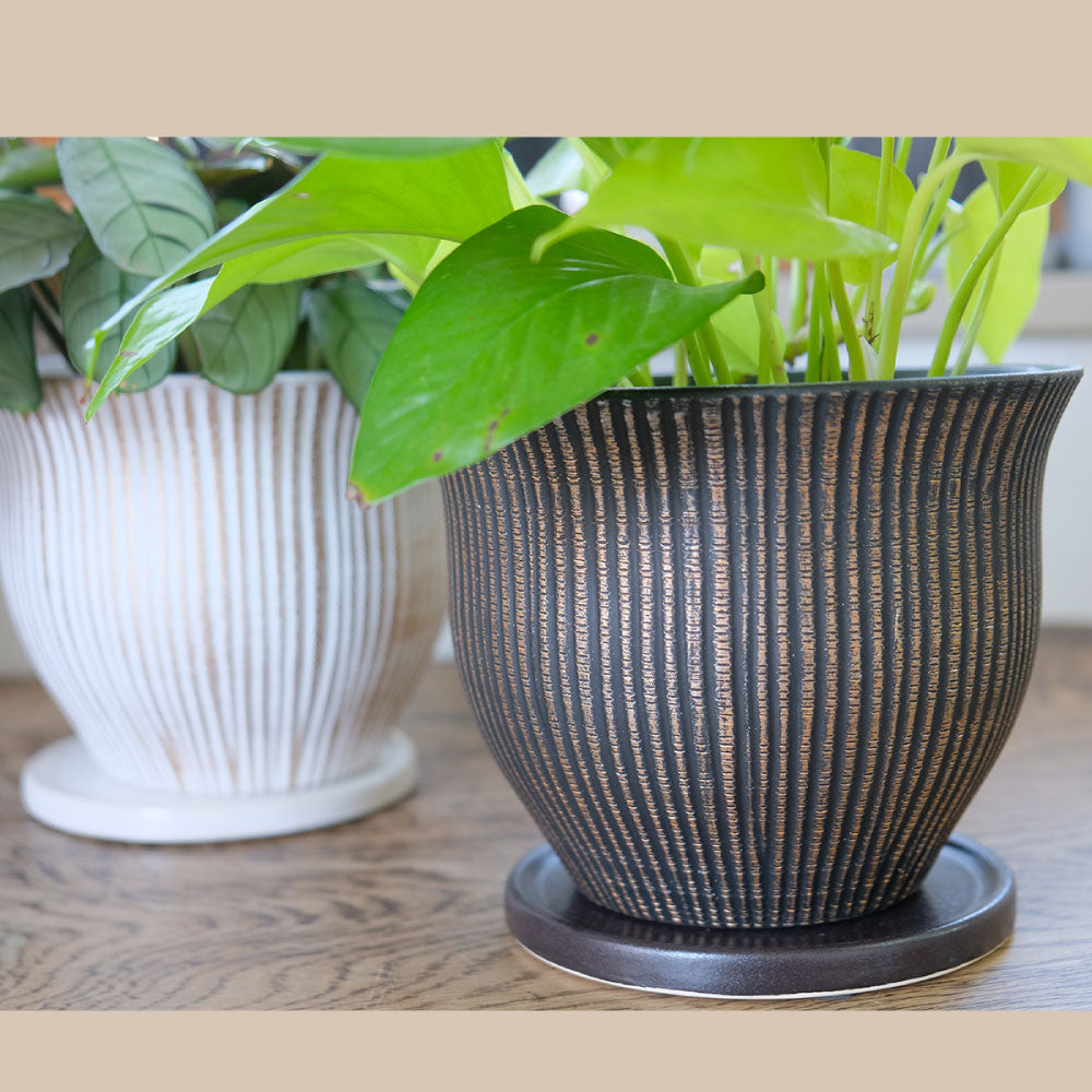 植木鉢 マルグリット15 受皿付 ポット セラミック 釉薬 径16cm 高12cm 底穴あり
