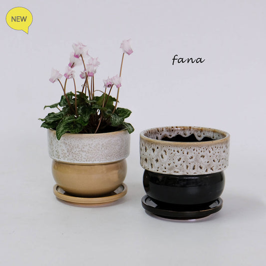 植木鉢  陶器鉢 おしゃれ ファナS/SS 受皿付 薄緑 ベージュ 赤茶 アニマル柄
