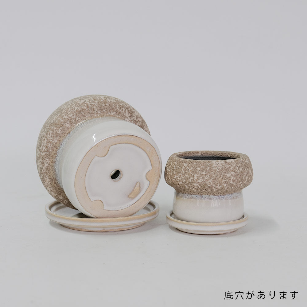 植木鉢 陶器鉢 おしゃれ ルイーゼ 受皿付 ベージュ セラミック鉢 底穴あり M/Φ12×H9.5cm S/Φ9×H7cm