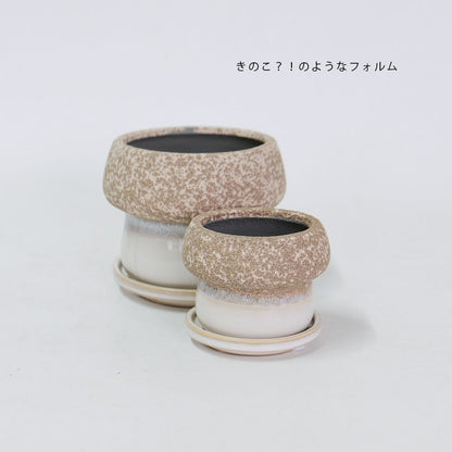 植木鉢 陶器鉢 おしゃれ ルイーゼ 受皿付 ベージュ セラミック鉢 底穴あり M/Φ12×H9.5cm S/Φ9×H7cm