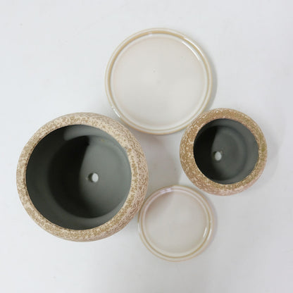 植木鉢 陶器鉢 おしゃれ ルイーゼ 受皿付 ベージュ セラミック鉢 底穴あり M/Φ12×H9.5cm S/Φ9×H7cm