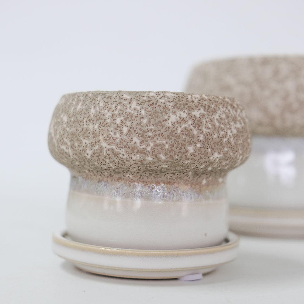 植木鉢 陶器鉢 おしゃれ ルイーゼ 受皿付 ベージュ セラミック鉢 底穴あり M/Φ12×H9.5cm S/Φ9×H7cm