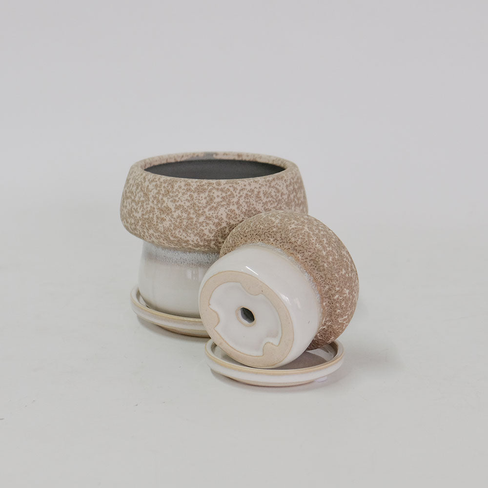 植木鉢 陶器鉢 おしゃれ ルイーゼ 受皿付 ベージュ セラミック鉢 底穴あり M/Φ12×H9.5cm S/Φ9×H7cm