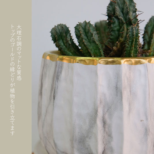 植木鉢 かわいい リベロL 受皿付 陶器鉢径14.5cm 高11cm 大理石調 ゴールド 高級感 クラシカル