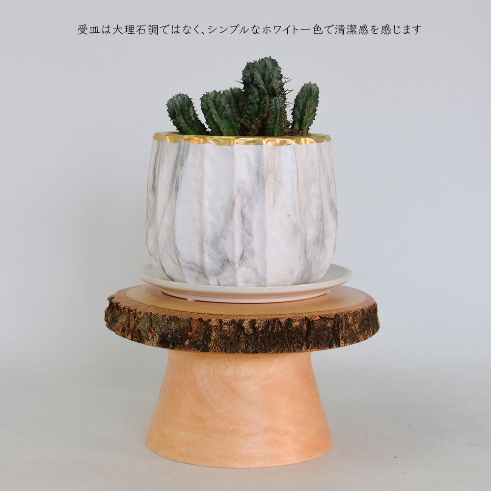 植木鉢 かわいい リベロL 受皿付 陶器鉢径14.5cm 高11cm 大理石調 ゴールド 高級感 クラシカル