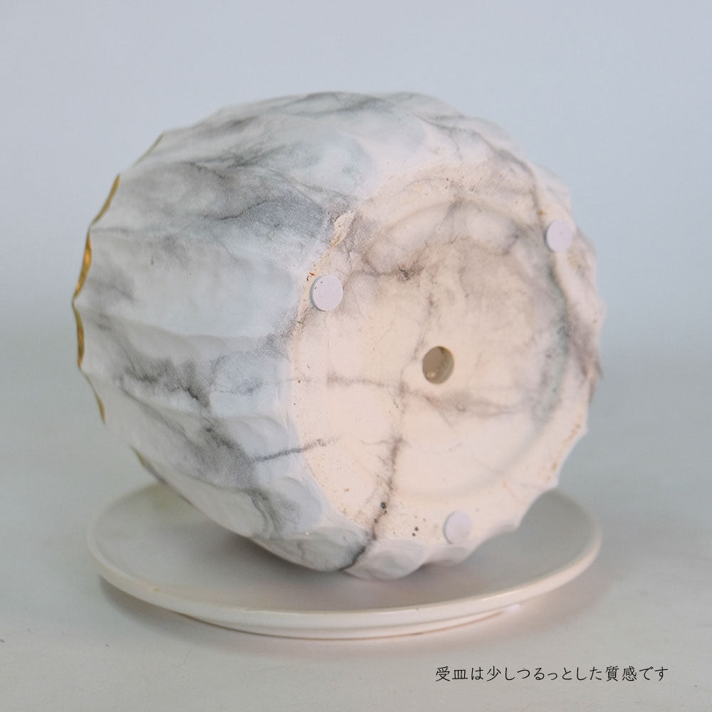 植木鉢 かわいい リベロL 受皿付 陶器鉢径14.5cm 高11cm 大理石調 ゴールド 高級感 クラシカル