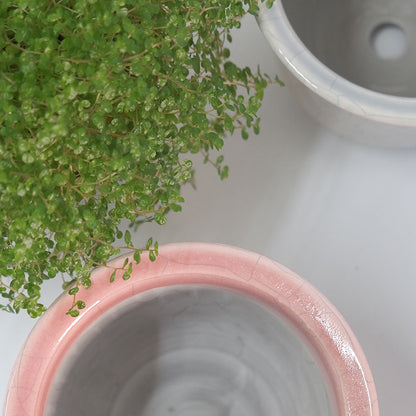 植木鉢 陶器 ずいうん ひらき 十ニ 瑞雲 花器 和鉢 貫入り おしゃれ 盆栽 径13.5cm 高10.5cm 底穴あり
