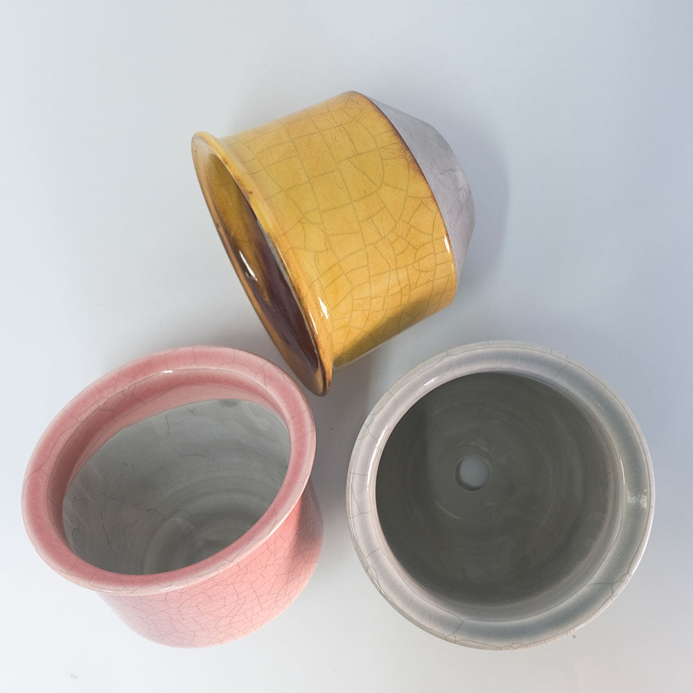 植木鉢 陶器 ずいうん ひらき 十ニ 瑞雲 花器 和鉢 貫入り おしゃれ 盆栽 径13.5cm 高10.5cm 底穴あり