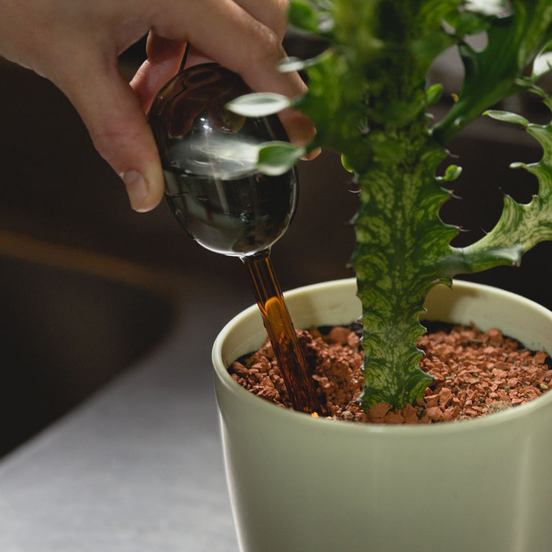 TWO TONE WATER DISPENSER 〈L〉 植物 自動給水機 液体肥料 ガーデニング用品 amabro