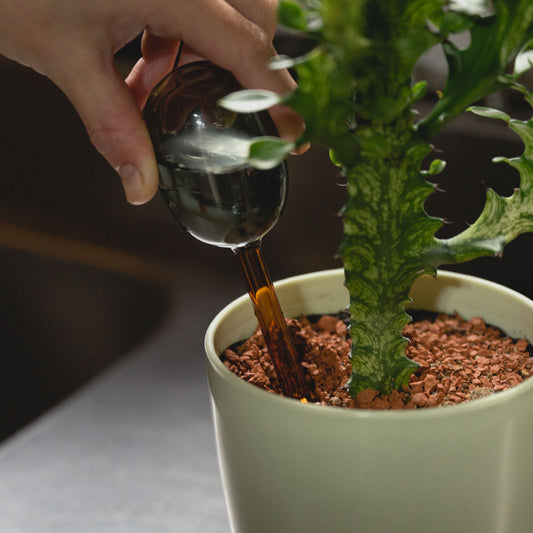 TWO TONE WATER DISPENSER 〈L〉 植物 自動給水機 液体肥料 ガーデニング用品 amabro