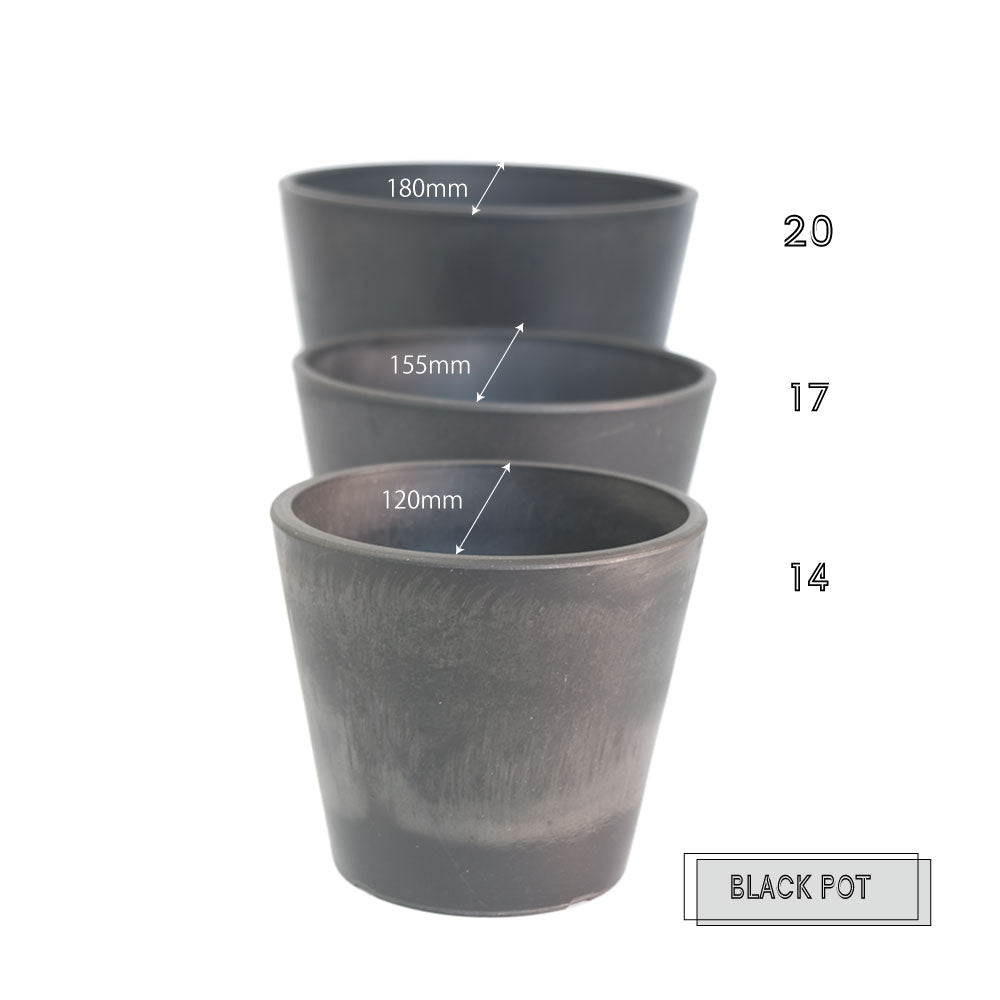 植木鉢 ブラックポット17 black plastic pot 頑丈 おしゃれ 塊根植物 多肉 黒プラスチック鉢 径17cm 高さ13.5cm スタンダード