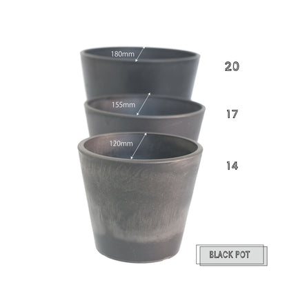 植木鉢 ブラックポット17 black plastic pot 頑丈 おしゃれ 塊根植物 多肉 黒プラスチック鉢 径17cm 高さ13.5cm スタンダード