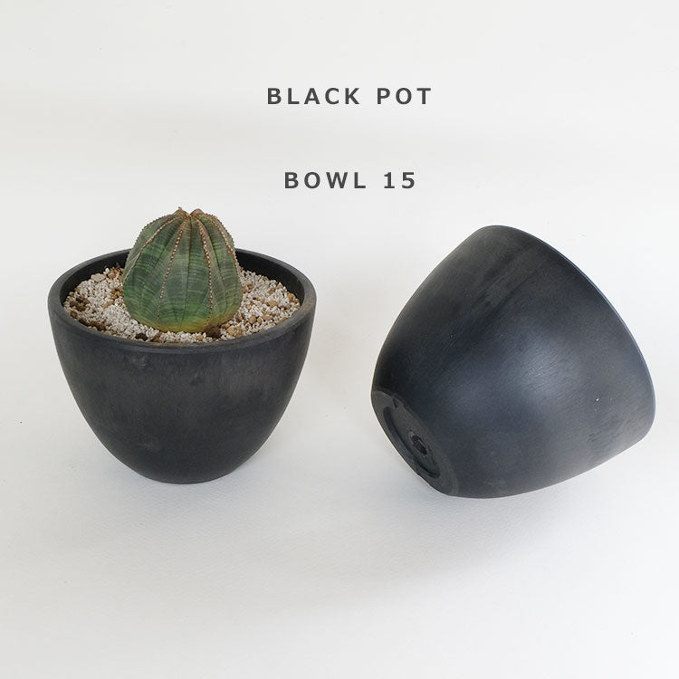 黒プラ鉢 ブラックポット bowl 15 サボテン 頑丈 おしゃれ 塊根植物 多肉 プラスチック ヘルメット コーデックス black plastic pot 径15cm 高さ11cm