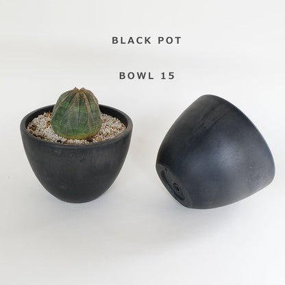 黒プラ鉢 ブラックポット bowl 15 サボテン 頑丈 おしゃれ 塊根植物 多肉 プラスチック ヘルメット コーデックス black plastic pot 径15cm 高さ11cm