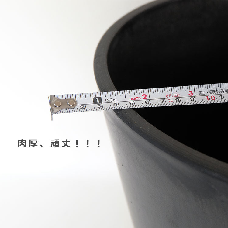 黒 プラ鉢  ブラックポット 31ハイタイプ サボテン 頑丈 おしゃれ 塊根植物 多肉 黒プラスチック鉢  コーデックス プランター
