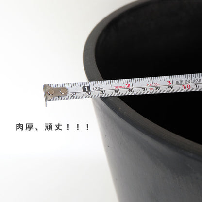 黒 プラ鉢  ブラックポット 31ハイタイプ サボテン 頑丈 おしゃれ 塊根植物 多肉 黒プラスチック鉢  コーデックス プランター