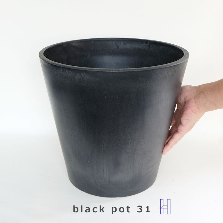 黒 プラ鉢  ブラックポット 31ハイタイプ サボテン 頑丈 おしゃれ 塊根植物 多肉 黒プラスチック鉢  コーデックス プランター