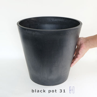 黒 プラ鉢  ブラックポット 31ハイタイプ サボテン 頑丈 おしゃれ 塊根植物 多肉 黒プラスチック鉢  コーデックス プランター