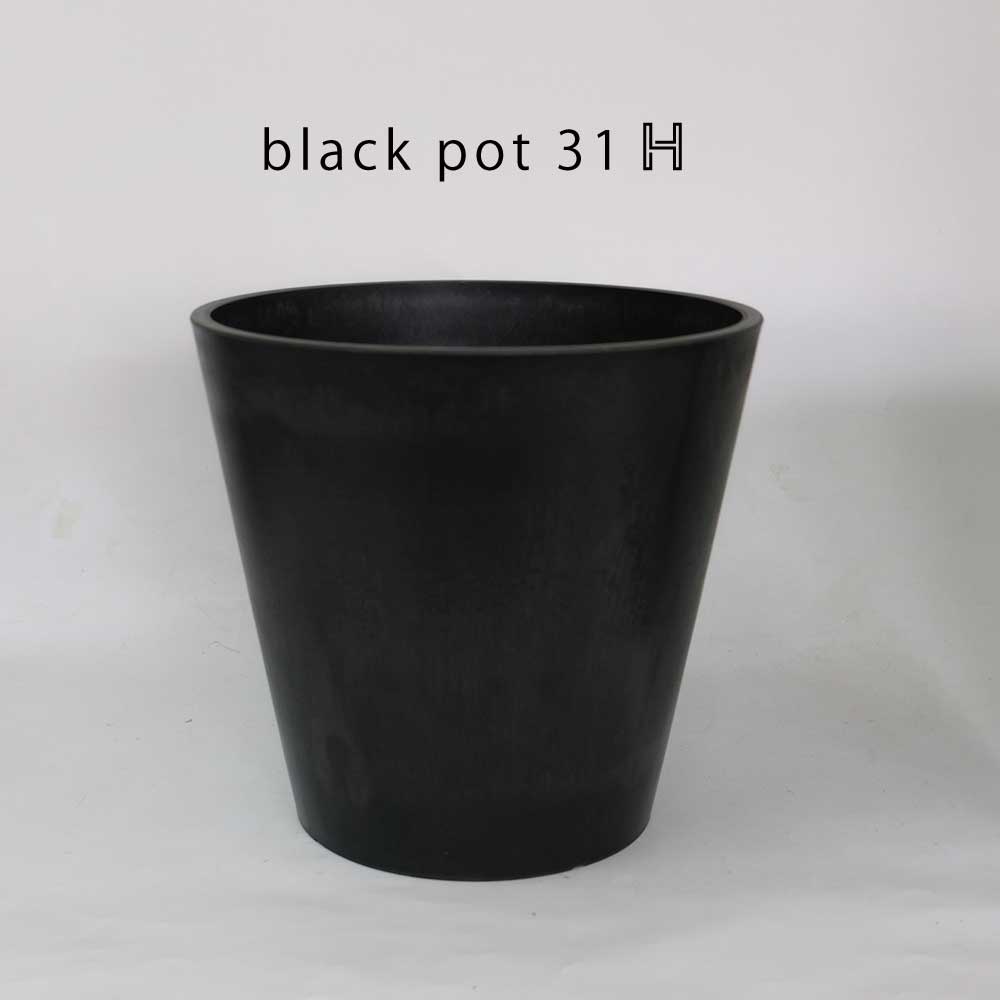 黒 プラ鉢  ブラックポット 31ハイタイプ サボテン 頑丈 おしゃれ 塊根植物 多肉 黒プラスチック鉢  コーデックス プランター
