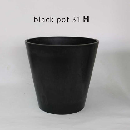 黒 プラ鉢  ブラックポット 31ハイタイプ サボテン 頑丈 おしゃれ 塊根植物 多肉 黒プラスチック鉢  コーデックス プランター