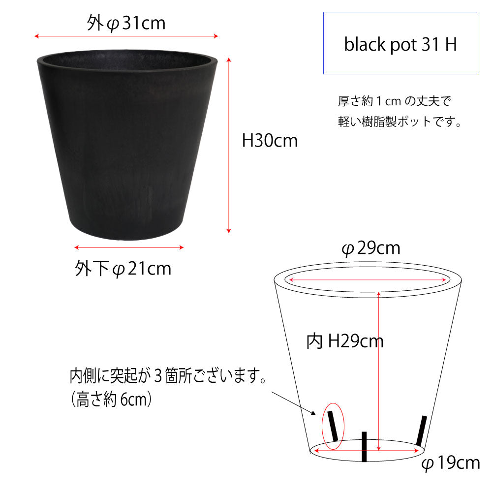 黒 プラ鉢  ブラックポット 31ハイタイプ サボテン 頑丈 おしゃれ 塊根植物 多肉 黒プラスチック鉢  コーデックス プランター