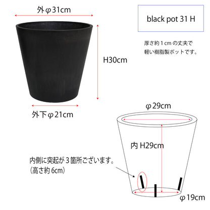 黒 プラ鉢  ブラックポット 31ハイタイプ サボテン 頑丈 おしゃれ 塊根植物 多肉 黒プラスチック鉢  コーデックス プランター