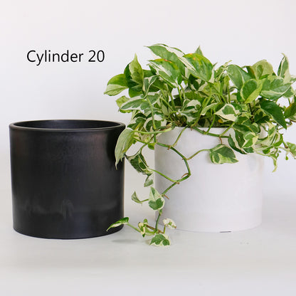 ブラックポット シリンダー20 頑丈 おしゃれ 塊根植物 多肉 黒プラスチック鉢  コーデックス 植木鉢 プラ鉢 black pot 径20 高さ18cm ブラック ホワイト