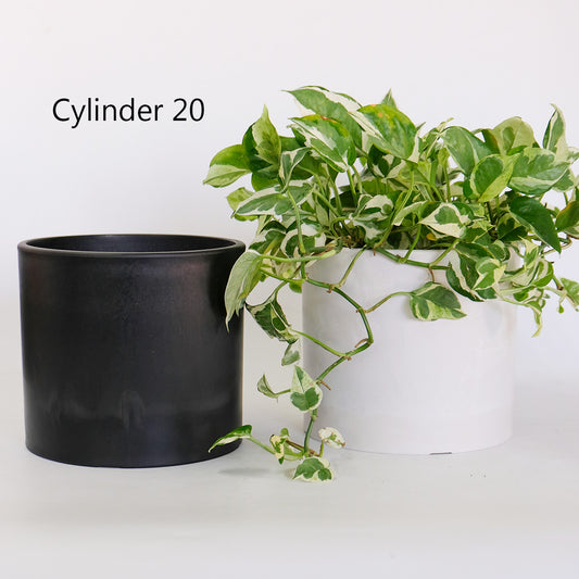 ブラックポット シリンダー20 頑丈 おしゃれ 塊根植物 多肉 黒プラスチック鉢  コーデックス 植木鉢 プラ鉢 black pot 径20 高さ18cm ブラック ホワイト
