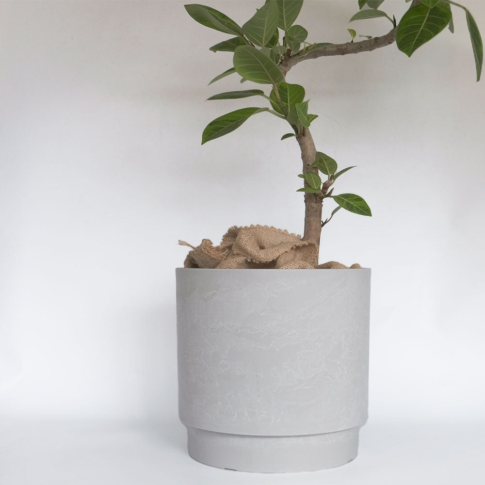 鉢カバー スタック 10号鉢対応 径37cm 高35cm 8号鉢対応 植木鉢 径31cm 高30cmプラ鉢 大型 頑丈 おしゃれ 塊根植物 多肉 黒プラスチック鉢 観葉植物 鉢