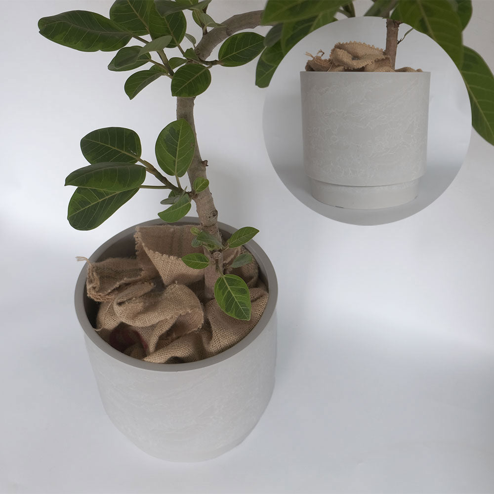 鉢カバー スタック 10号鉢対応 径37cm 高35cm 8号鉢対応 植木鉢 径31cm 高30cmプラ鉢 大型 頑丈 おしゃれ 塊根植物 多肉 黒プラスチック鉢 観葉植物 鉢