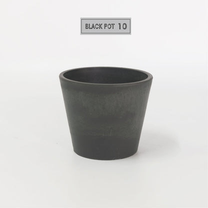 黒プラ鉢 ブラックポット 10 サボテン 頑丈 おしゃれ 塊根植物 多肉 黒プラスチック鉢 コーデックス black plastic pot 径10cm 高さ8cm 3号