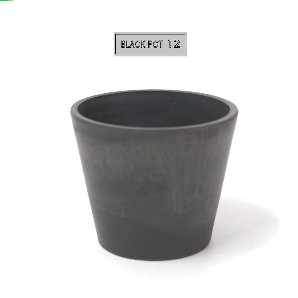 植木鉢 ブラックポット12 black plastic pot 径12cm 高さ10cm black plastic pot 4号 アガベ コーデックス サボテン