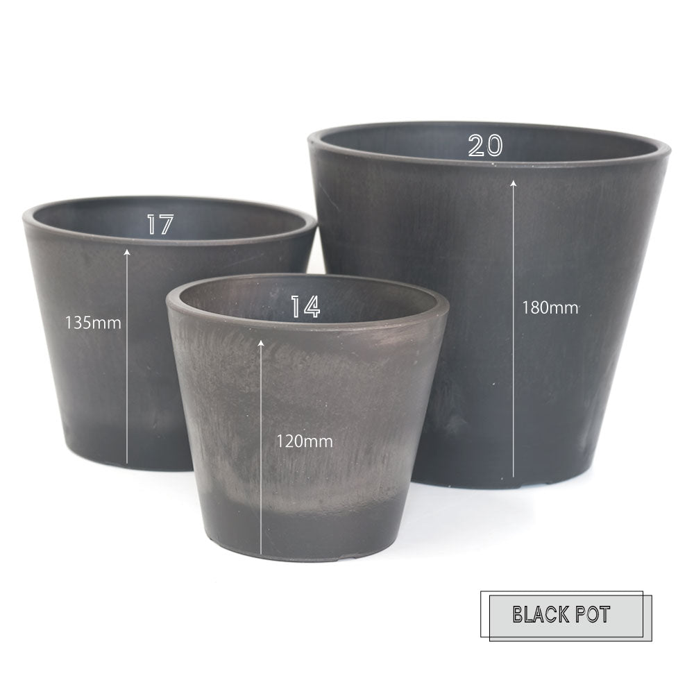 植木鉢 ブラックポット17 black plastic pot 頑丈 おしゃれ 塊根植物 多肉 黒プラスチック鉢 径17cm 高さ13.5cm スタンダード